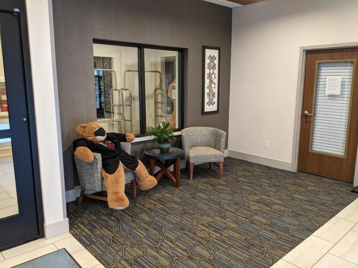 Holiday Inn Express South Burlington By Ihg Екстер'єр фото